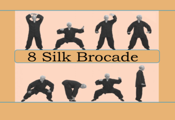 8 silk brocade