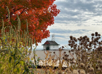 Our fall tai chi view at Kew Beach,
photo by Mary Anne