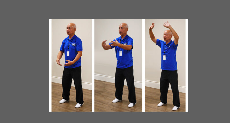 standing-meditation-3-pose-rev1